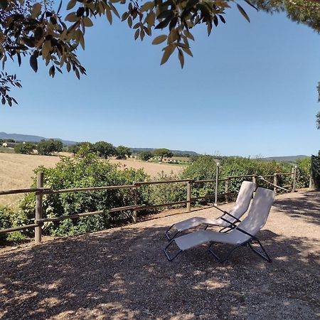 Agriturismo I Debbi ビッボーナ エクステリア 写真