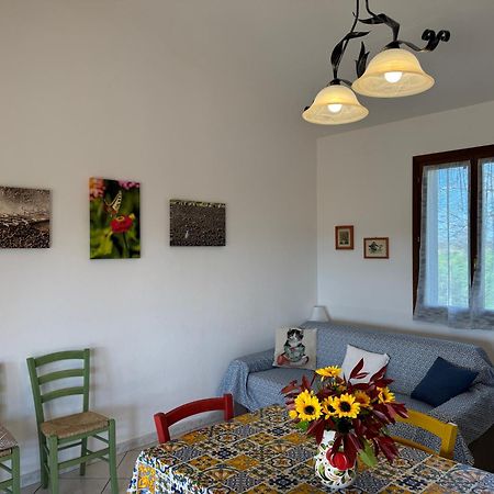 Agriturismo I Debbi ビッボーナ エクステリア 写真