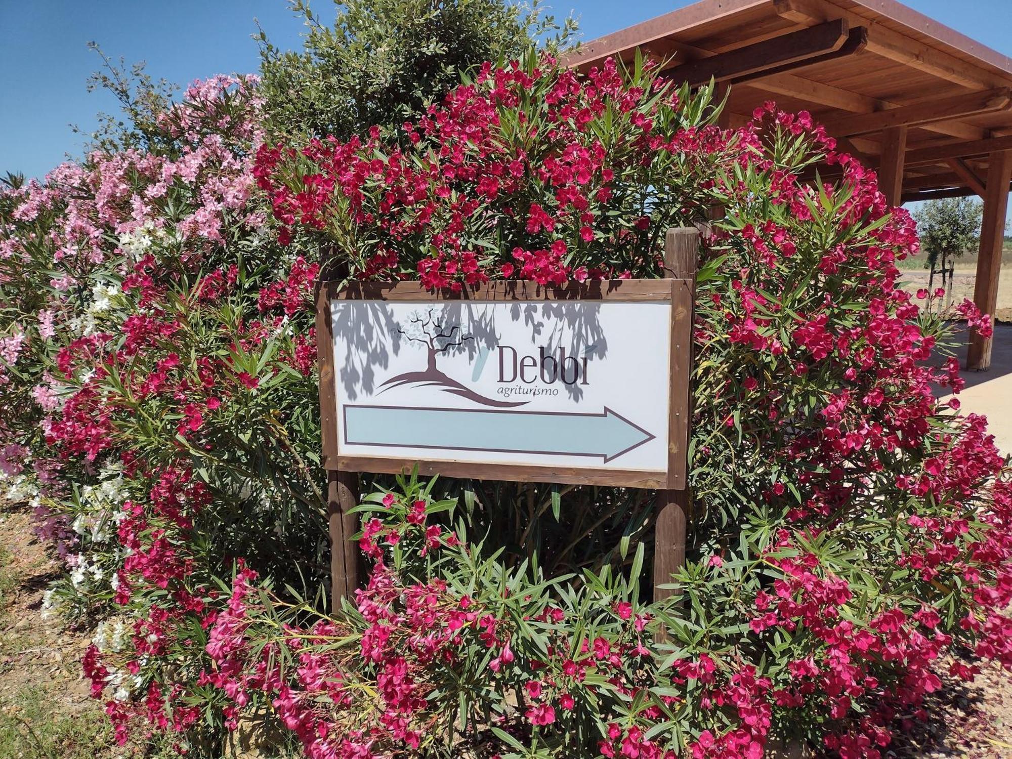 Agriturismo I Debbi ビッボーナ エクステリア 写真