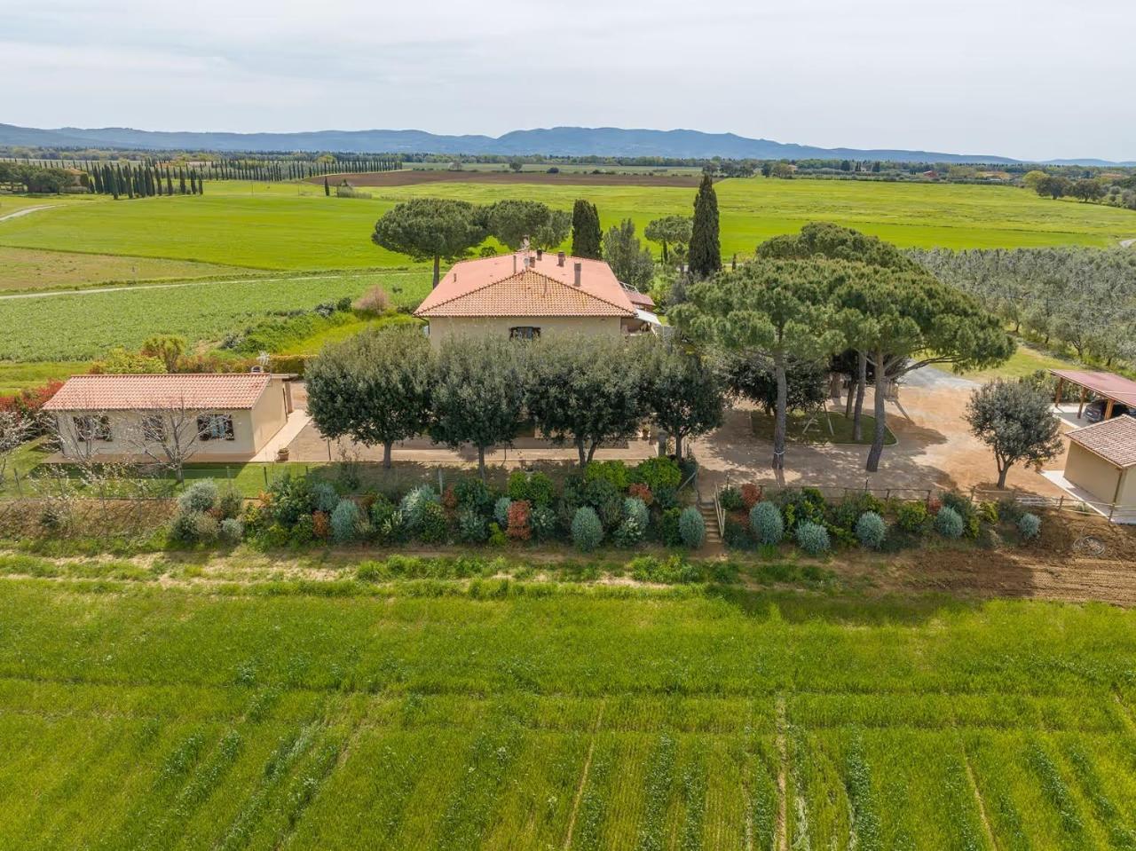 Agriturismo I Debbi ビッボーナ エクステリア 写真