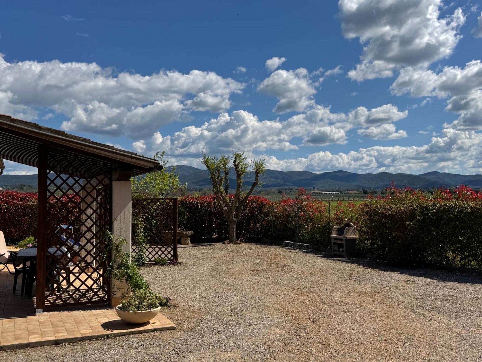 Agriturismo I Debbi ビッボーナ エクステリア 写真